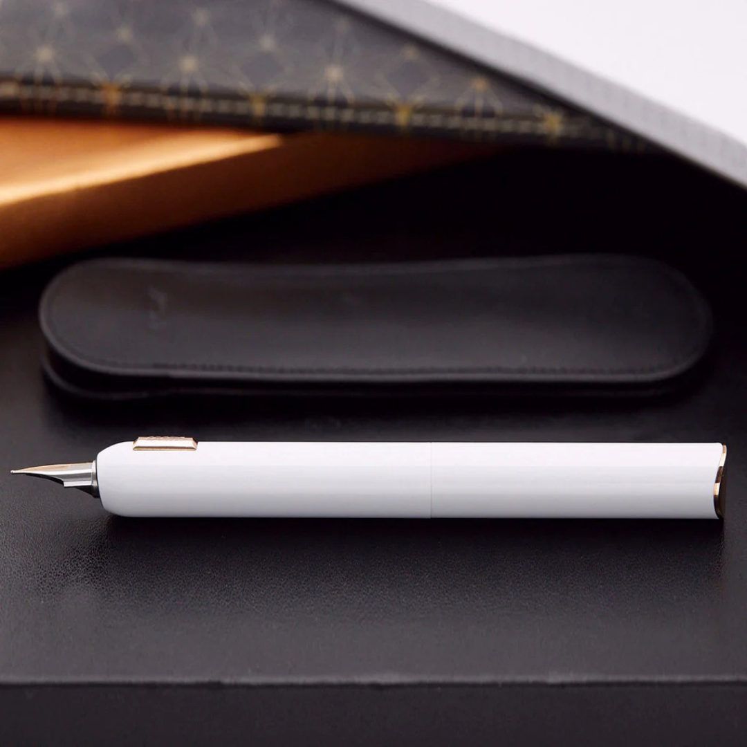 Lamy Dialog CC Fountain Pen