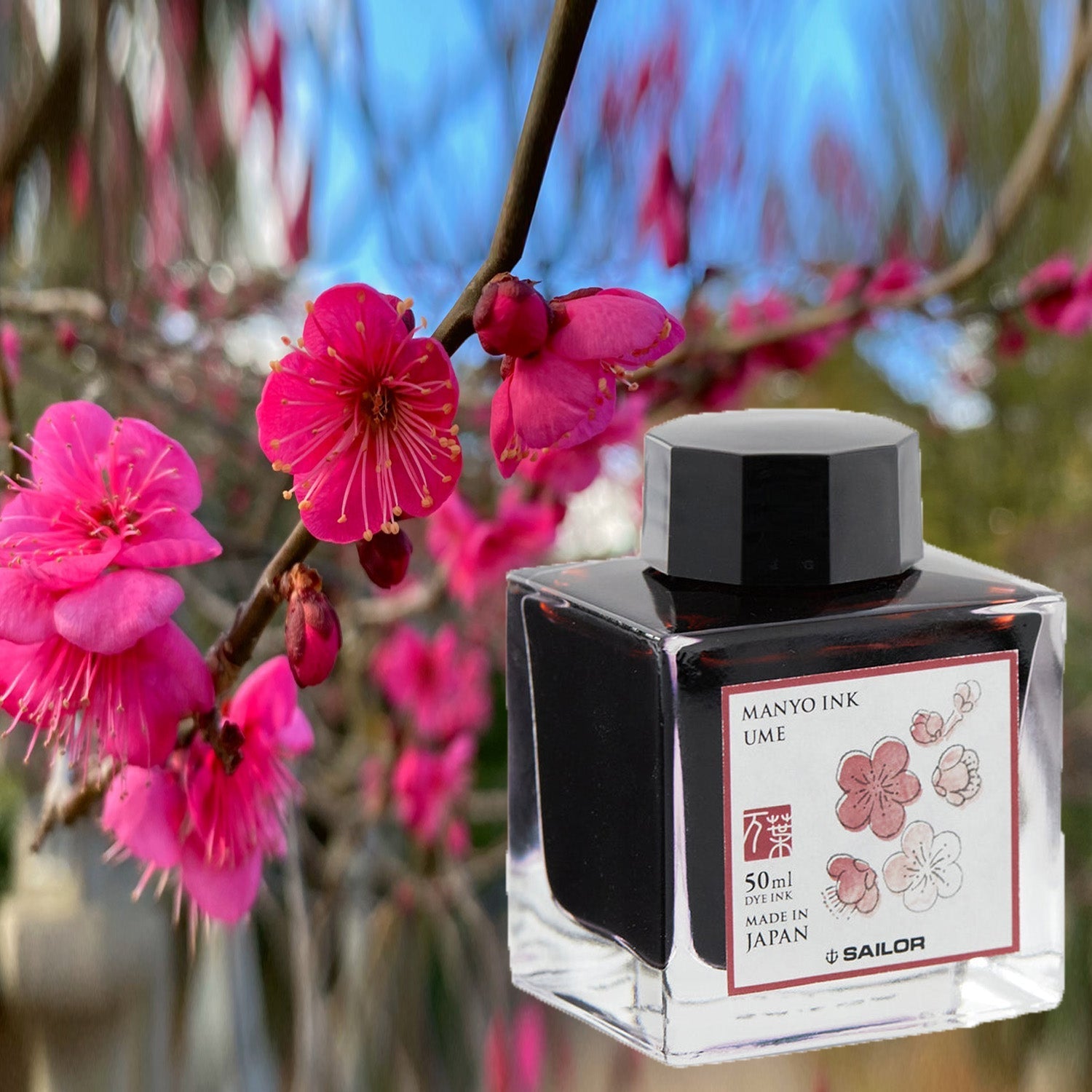 Sailor Manyo Ink Bottle - 50 ML