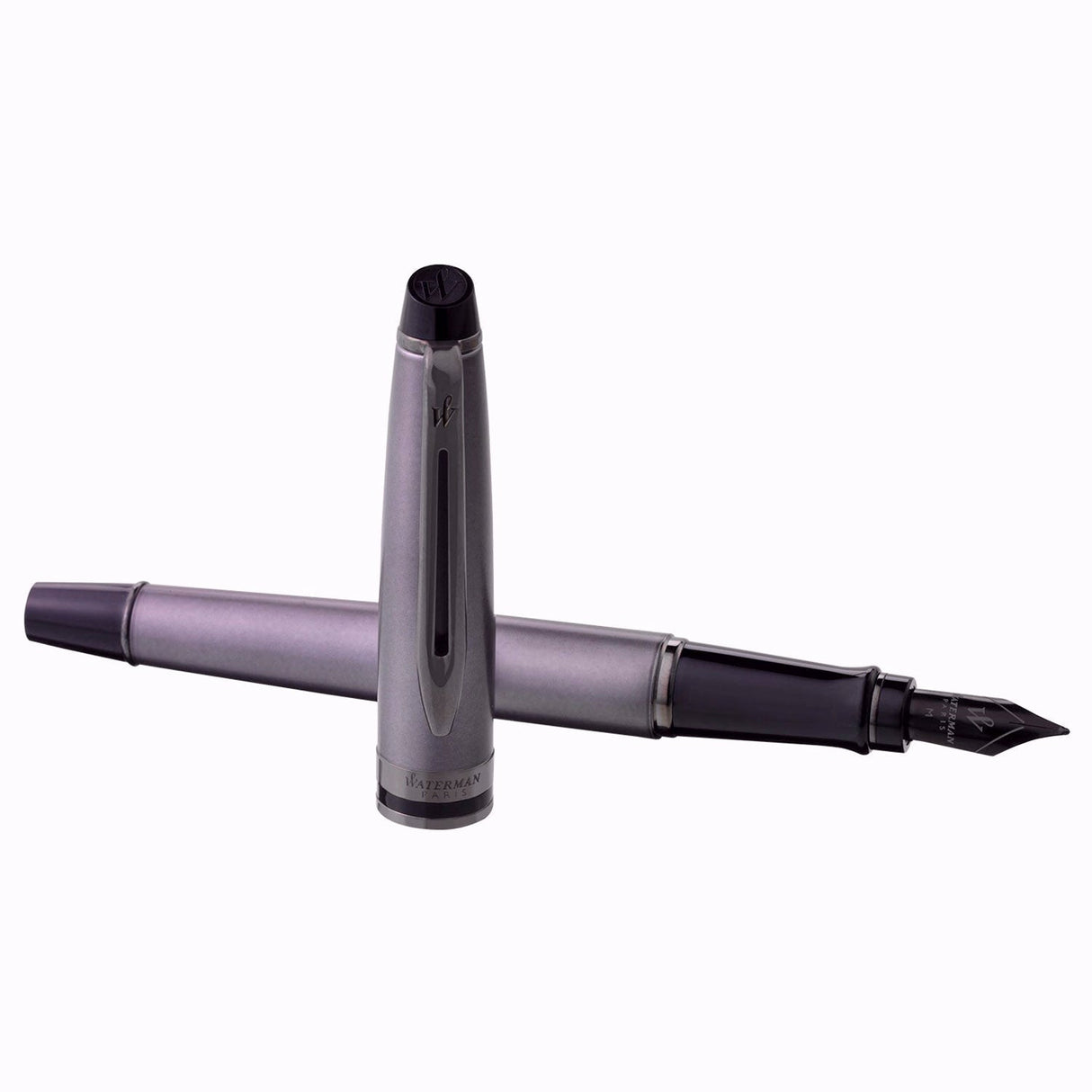 Waterman Expert Metallic Silver RT Fountain Pen