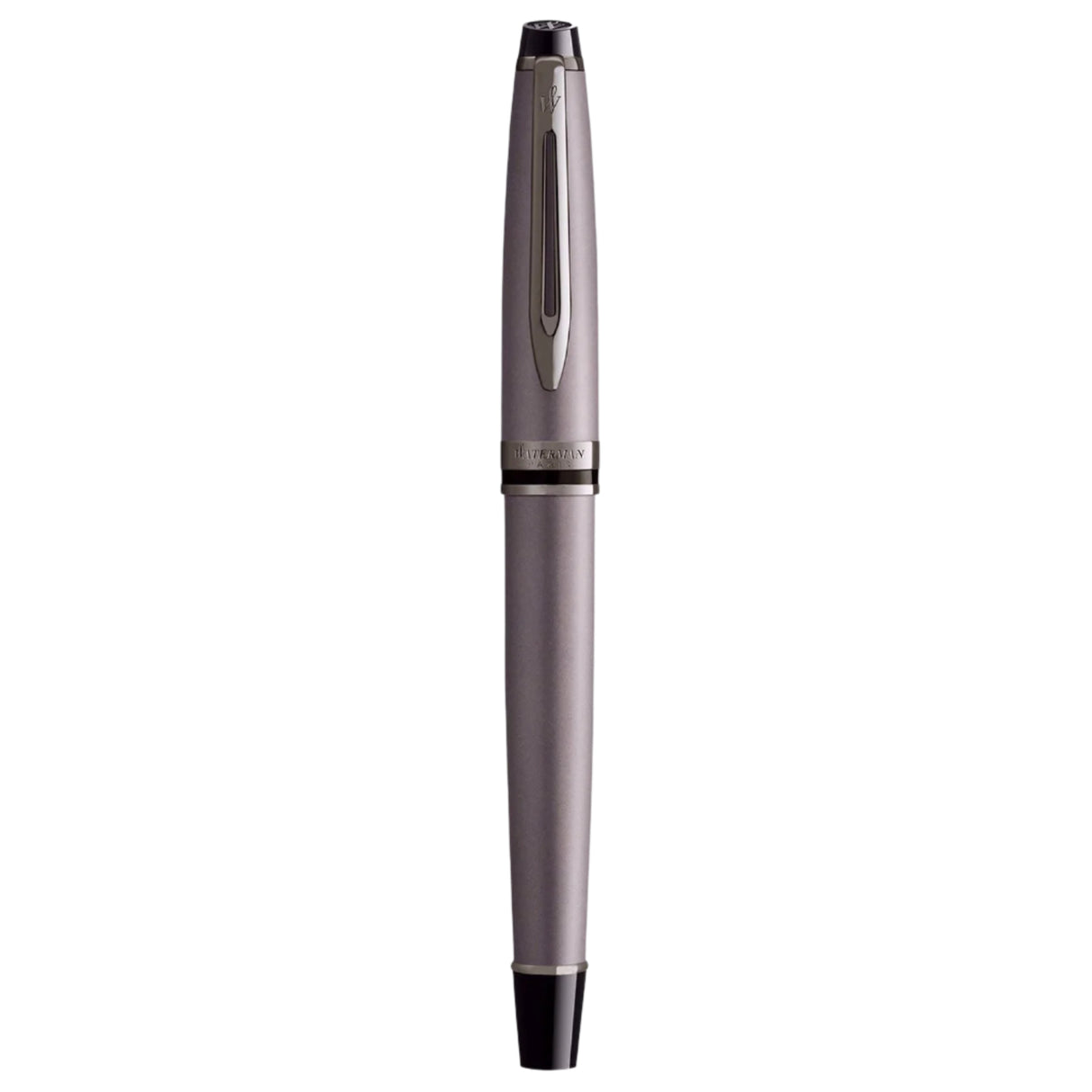 Waterman Expert Metallic Silver RT Fountain Pen