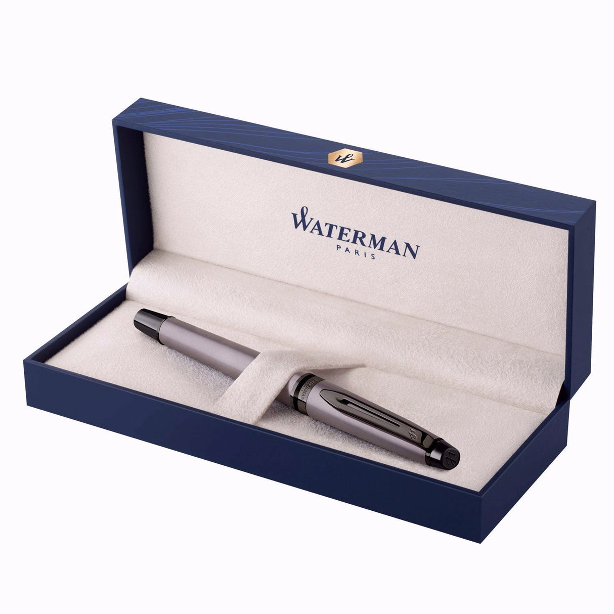 Waterman Expert Metallic Silver RT Fountain Pen