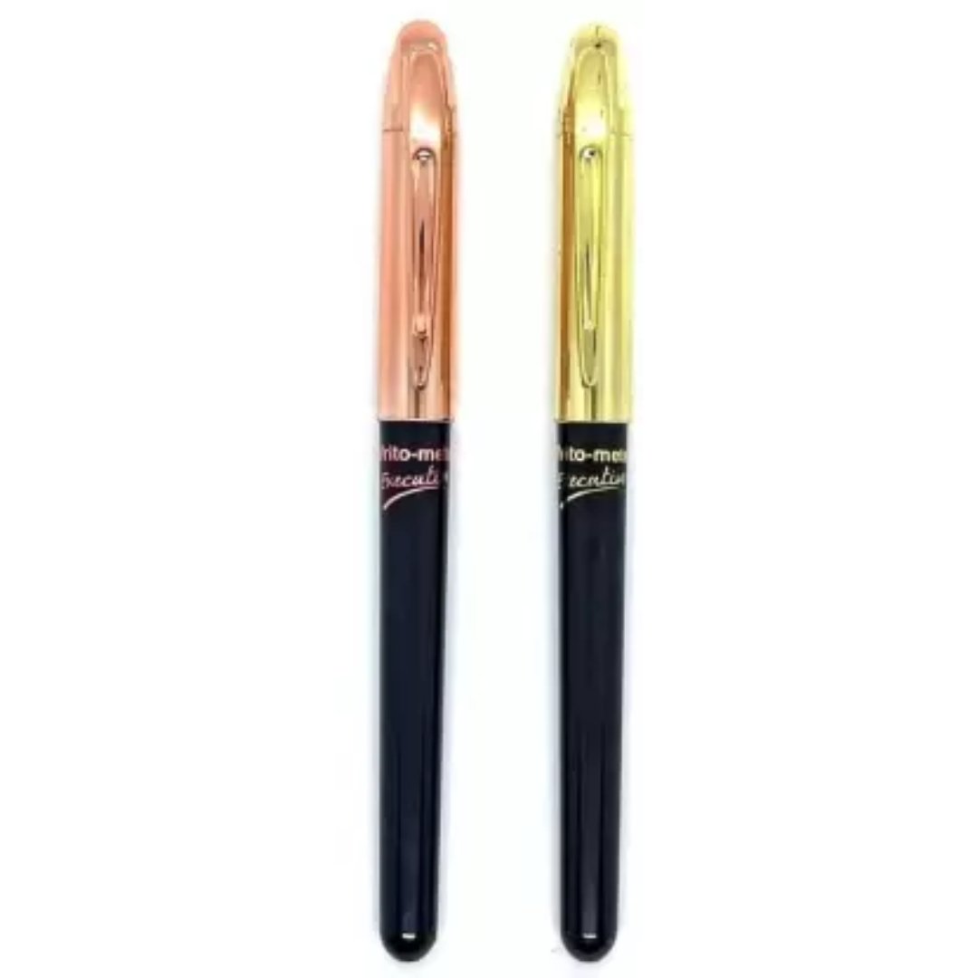 Flair Writo Meter Executive Ball Pen Pack Of 2-SCOOBOO – SCOOBOO