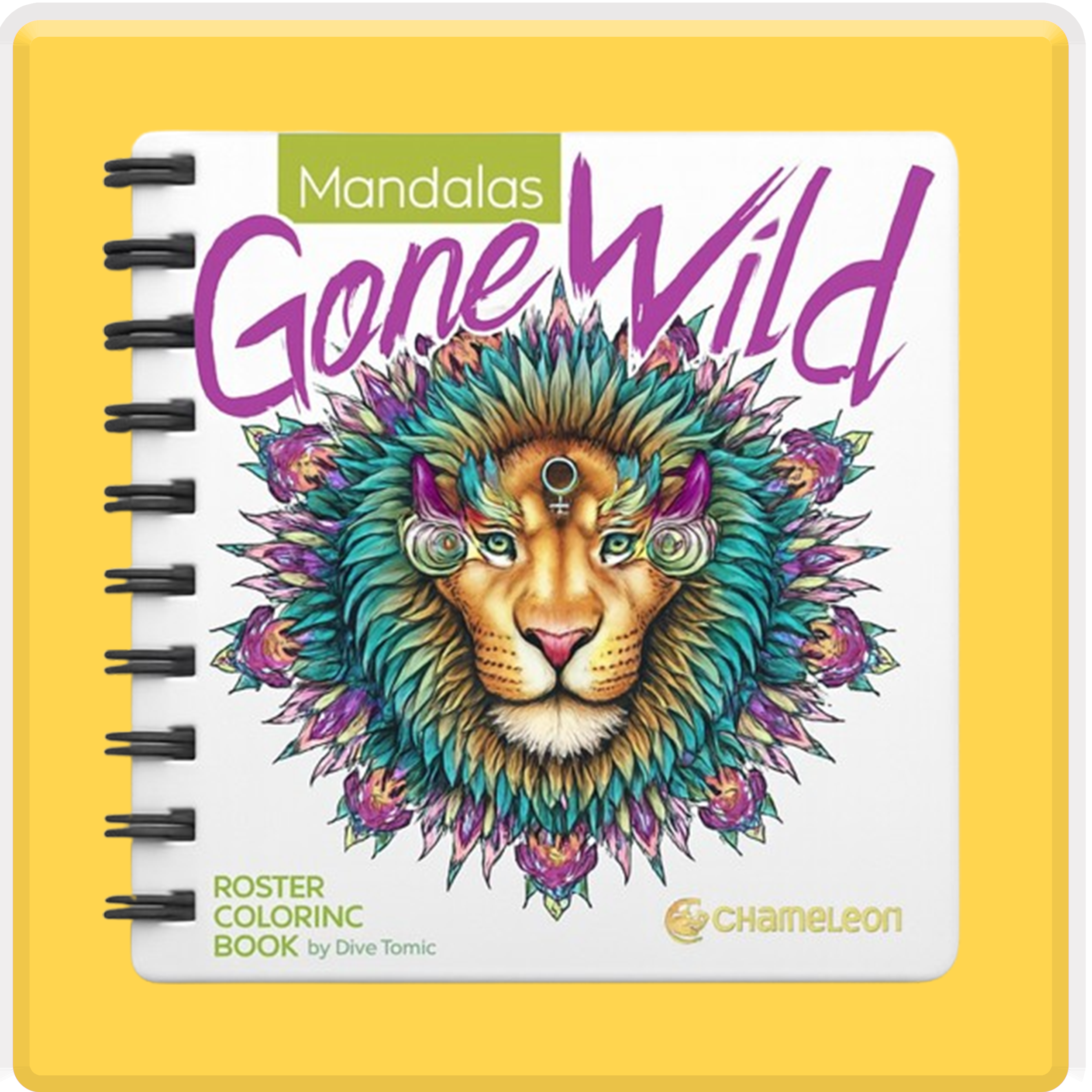 Top 10 Mandala & Drawing books