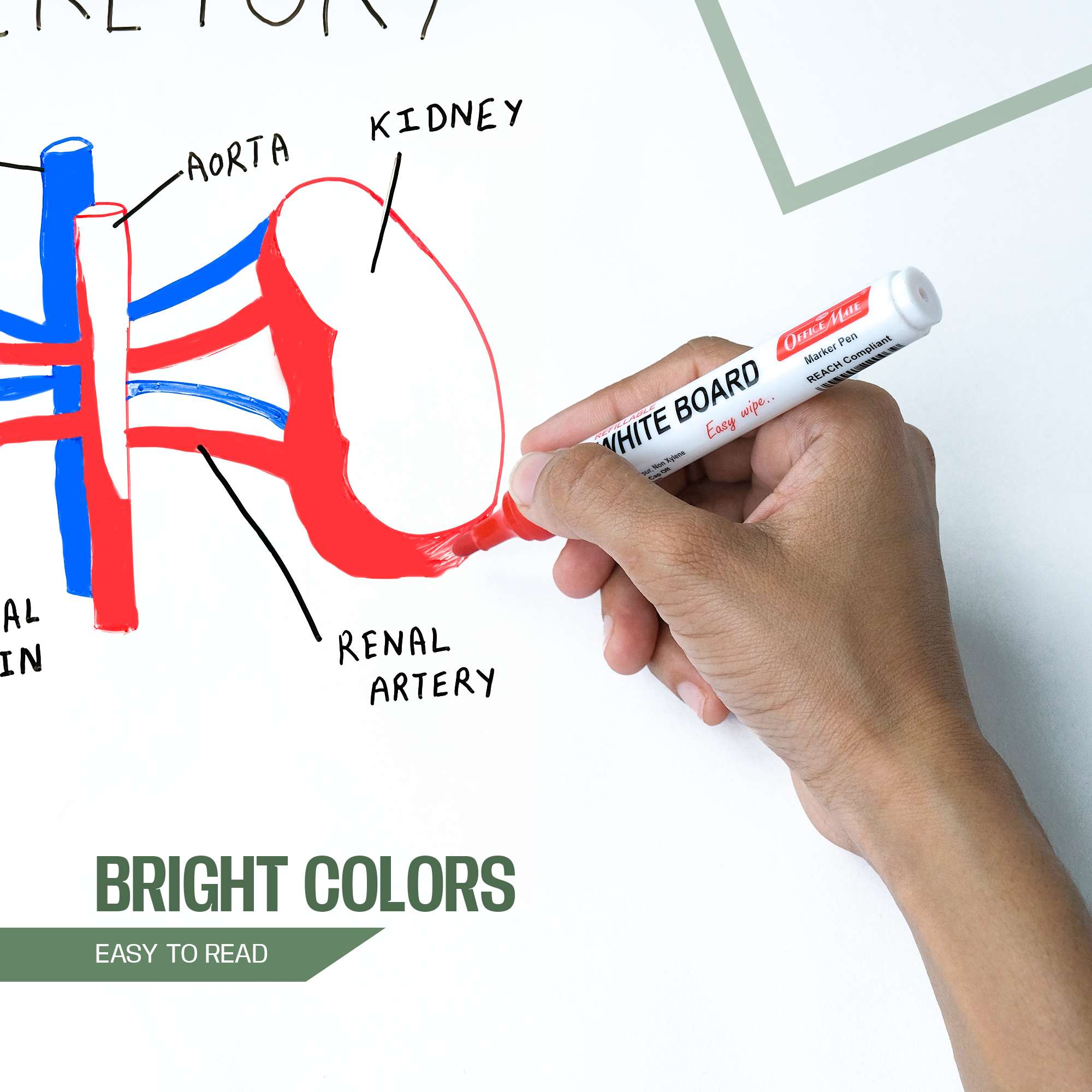 Soni Officemate Whiteboard Multicolor Combo (4 Whiteboard Markers + 4 Marker Inks )