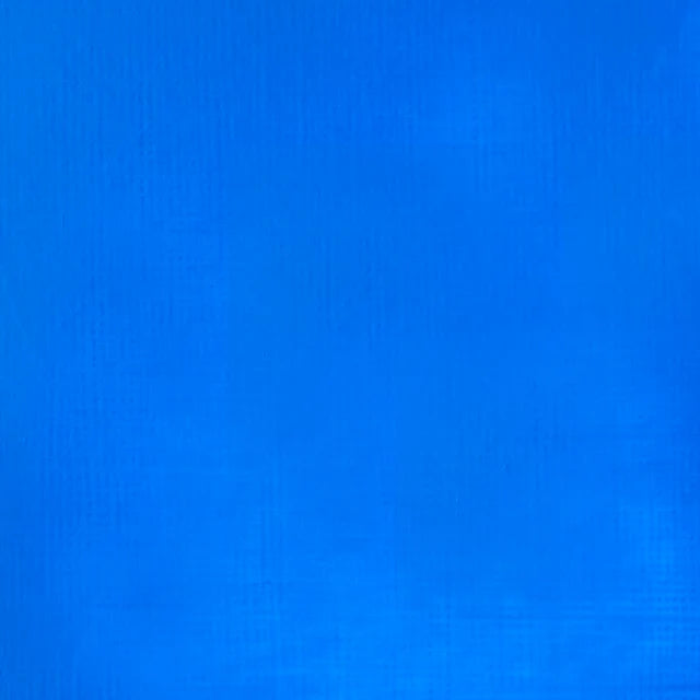 Liquitex Professional Soft Body Acrylic Paint