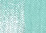 Liquitex Professional High Gloss Varnish