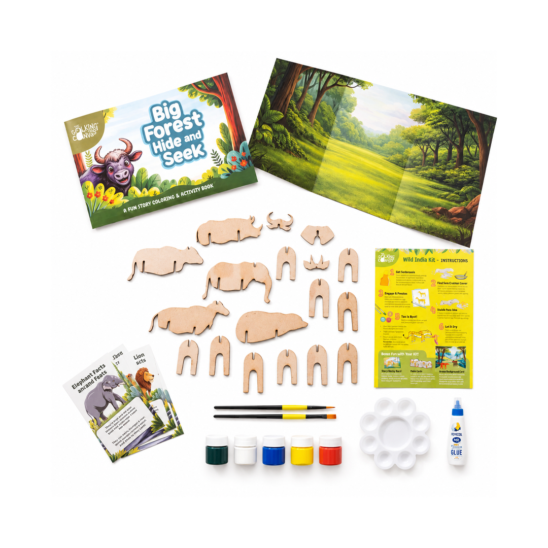 The Talking Canvas Wild India DIY Kit