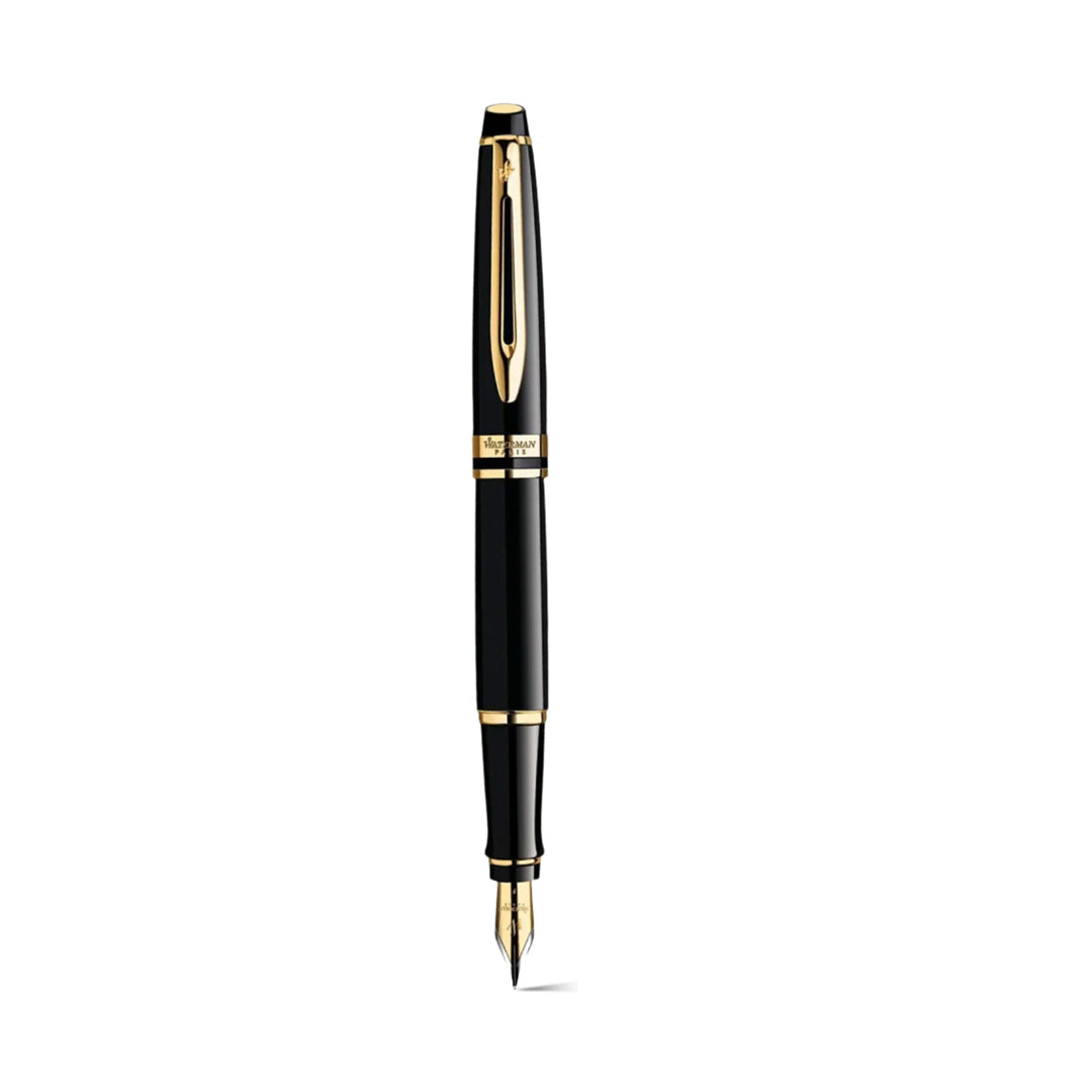 Waterman Expert Fountain Pen
