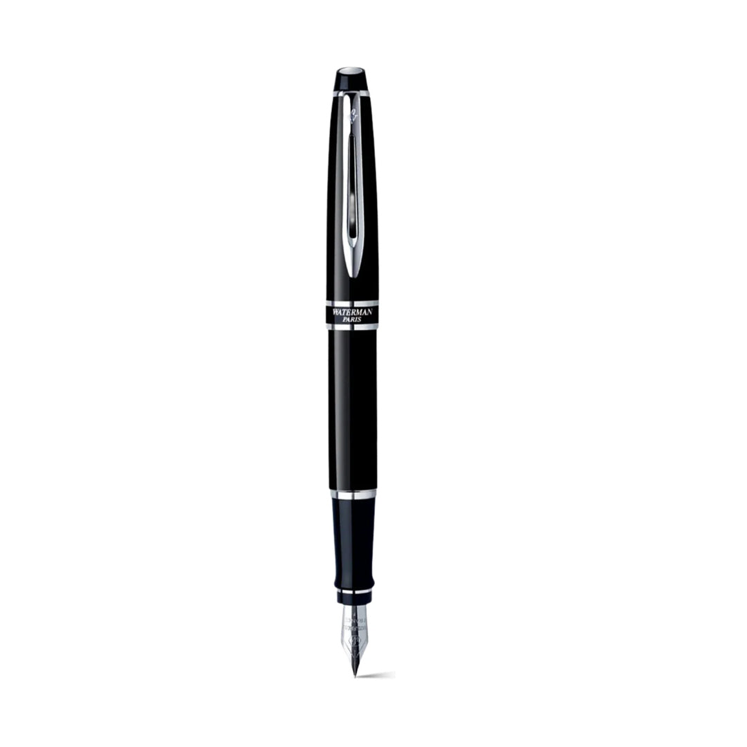 Waterman Expert Fountain Pen