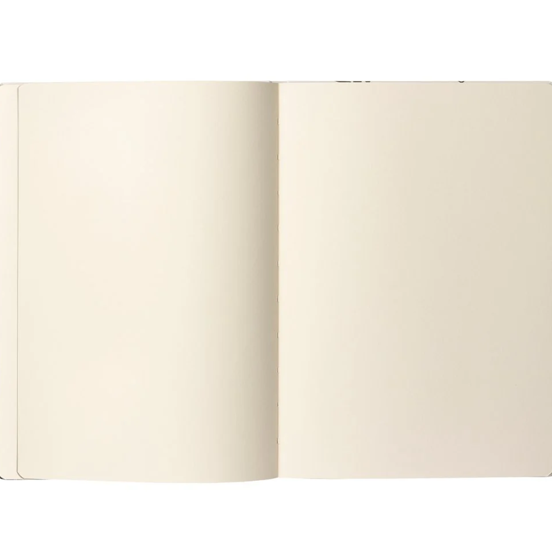 Caran D'Ache RYLSEE Sketchbook,