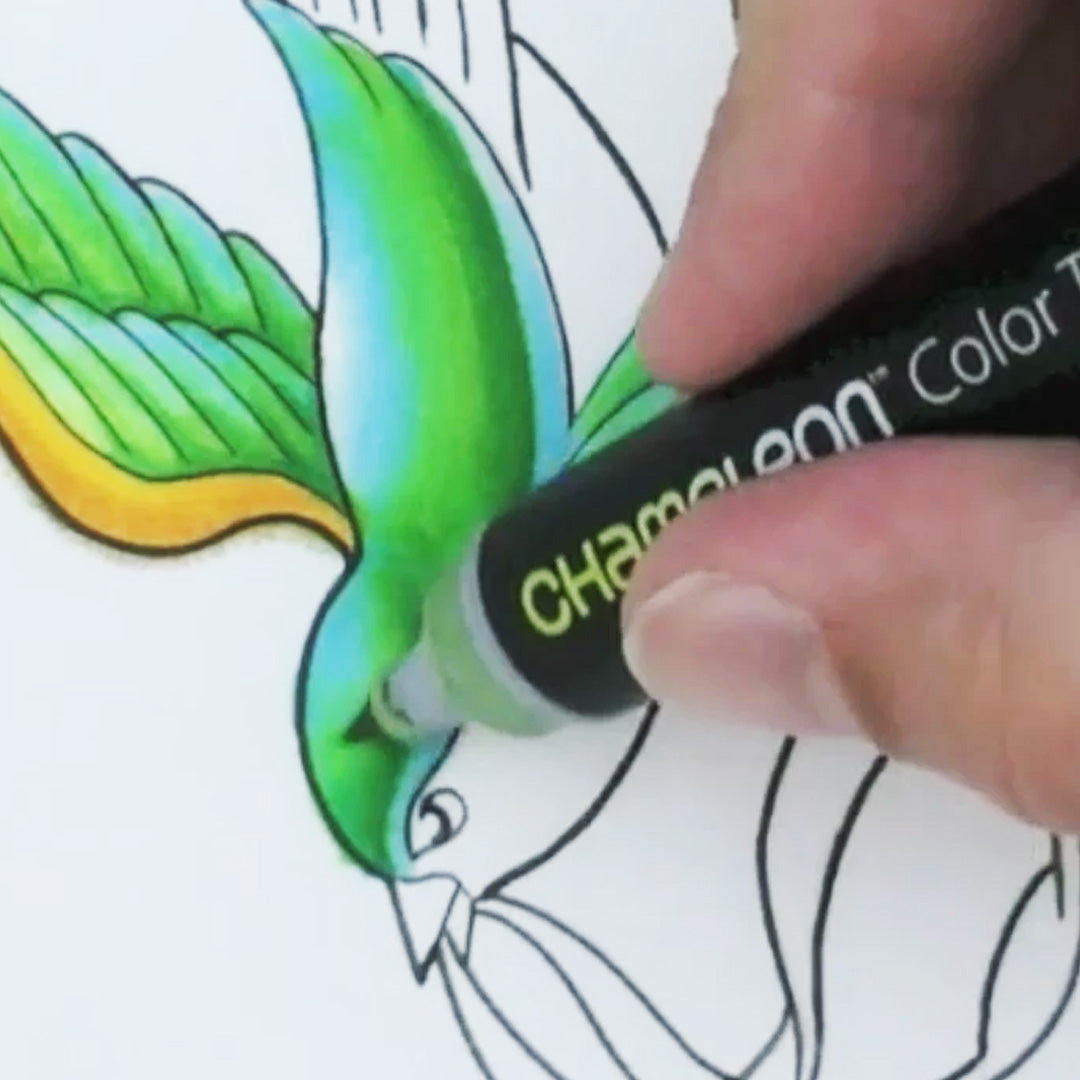 Chameleon Changing Color Set