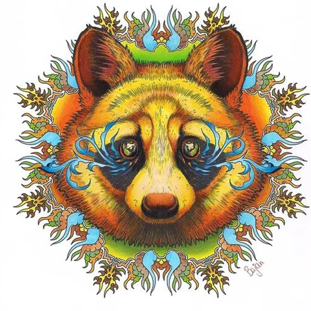 Chameleon Color Book Mandala Gone Wild