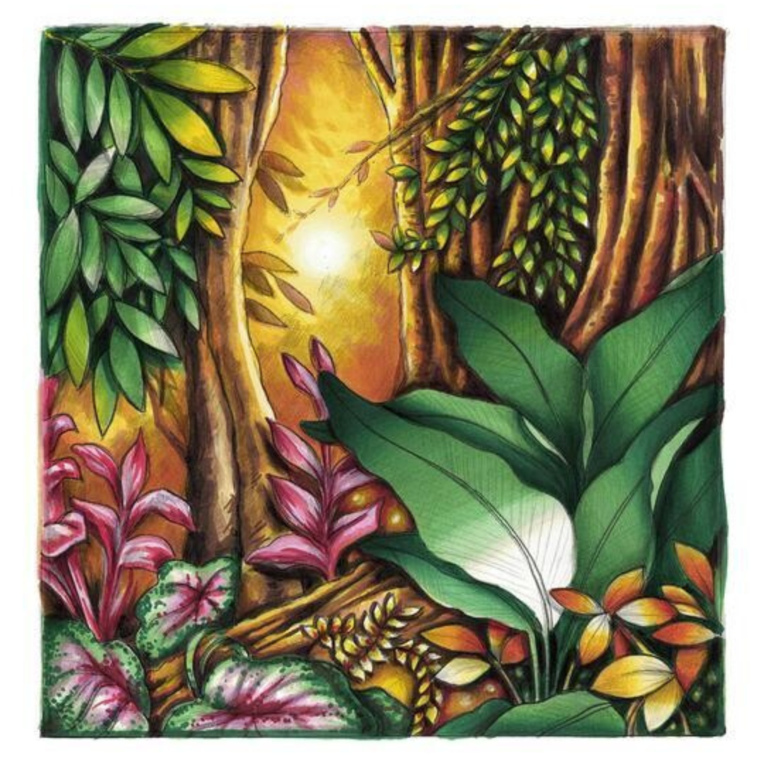Chameleon Color and Blending System Set With Markers
