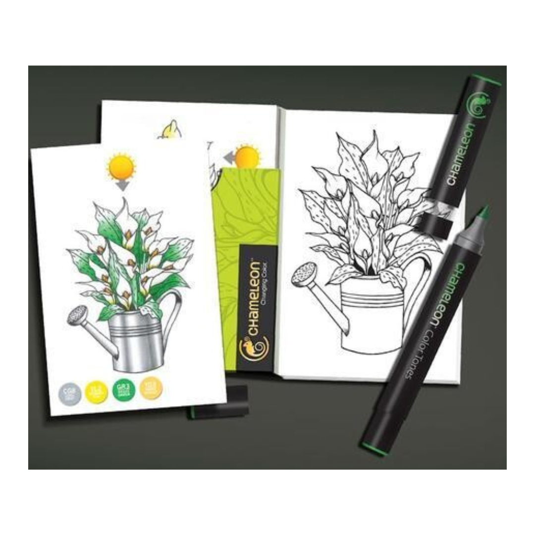 Chameleon Coloring Cards