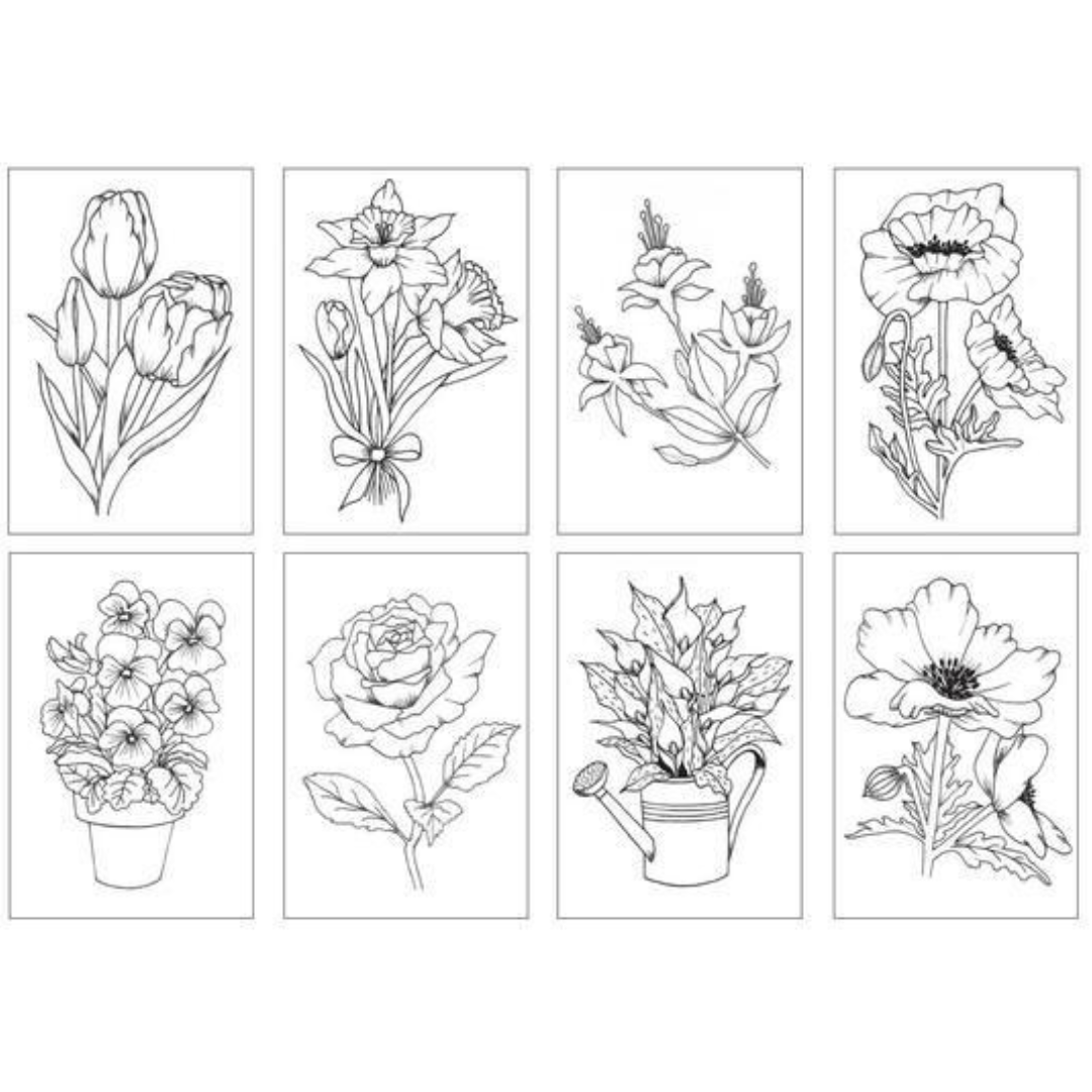 Chameleon Coloring Cards