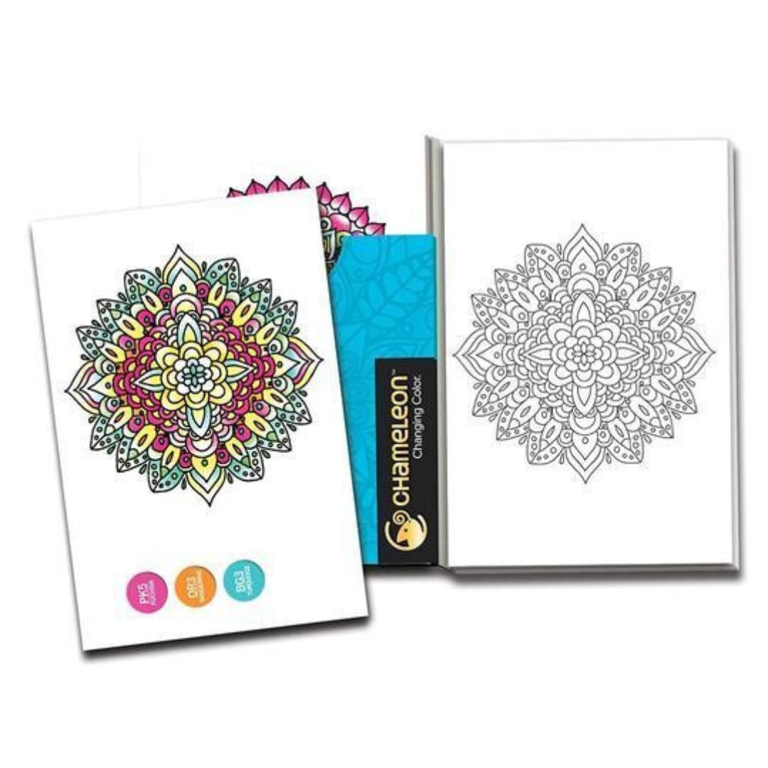 Chameleon Coloring Cards