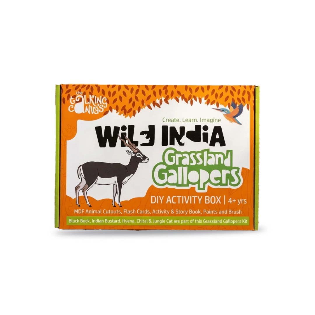 The Talking Canvas Wild India DIY Kit