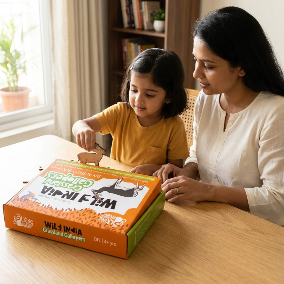 The Talking Canvas Wild India DIY Kit