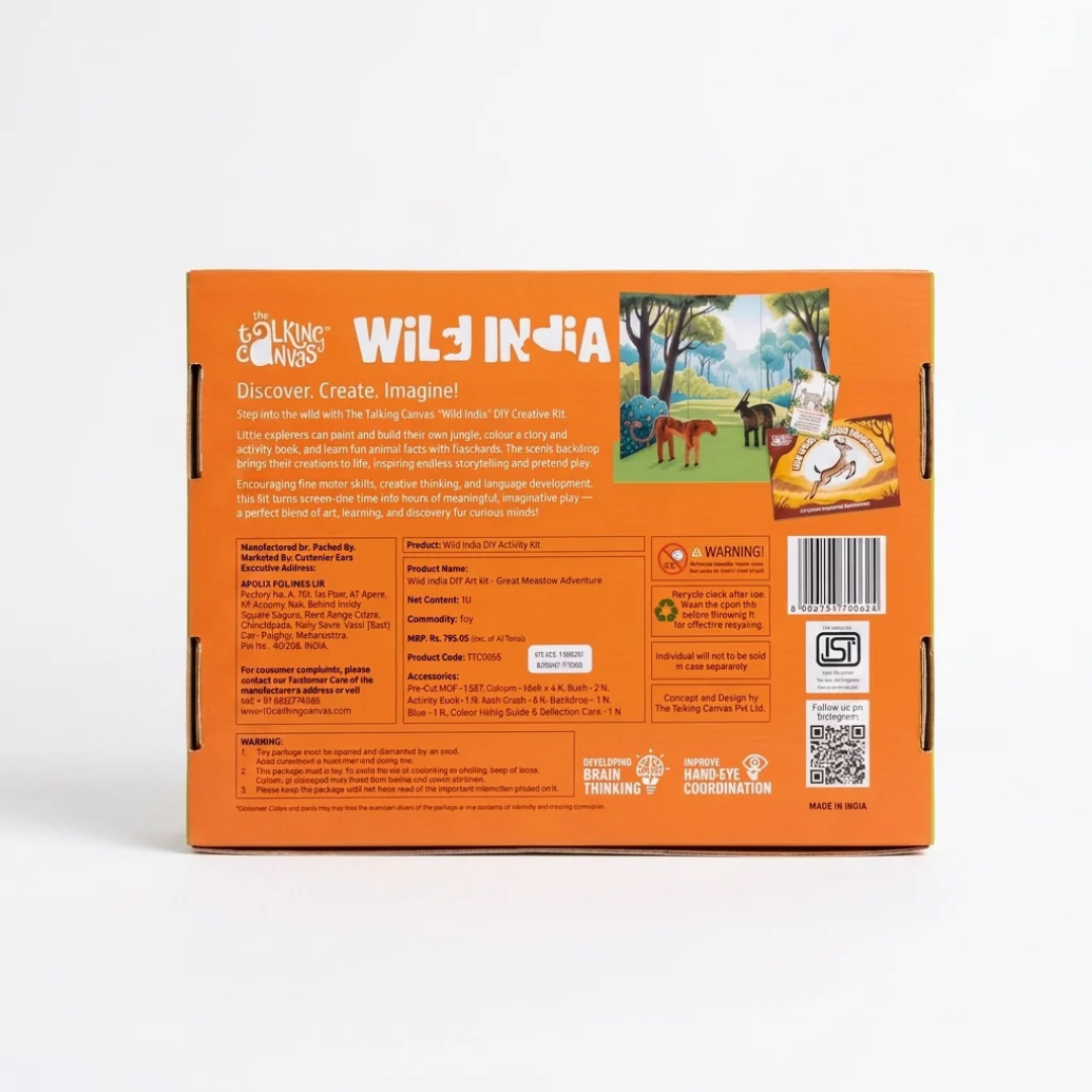 The Talking Canvas Wild India DIY Kit