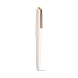 Kaco Master Fountain Pen