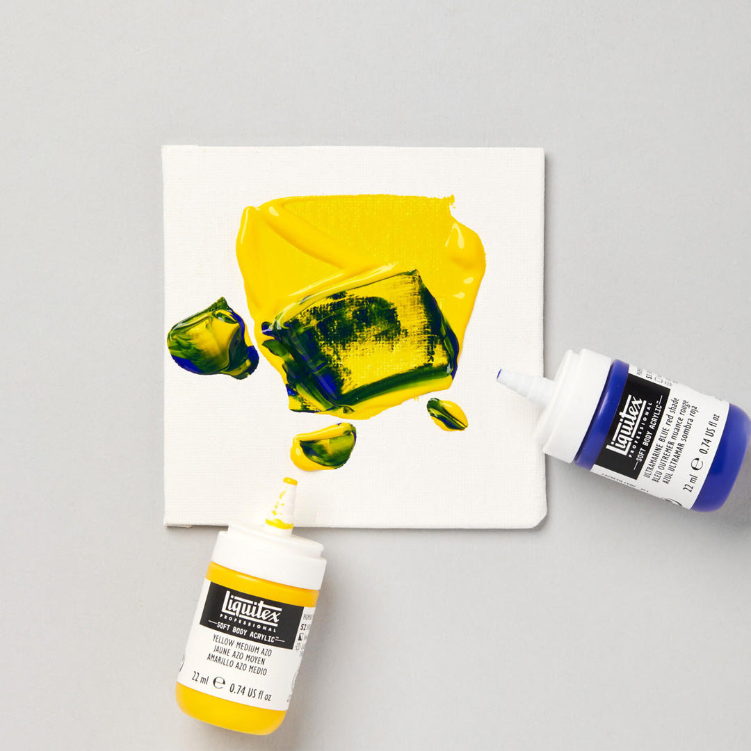 Liquitex Professional Soft Body Acrylic Set
