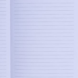 Lovely Ruled Notebooks
