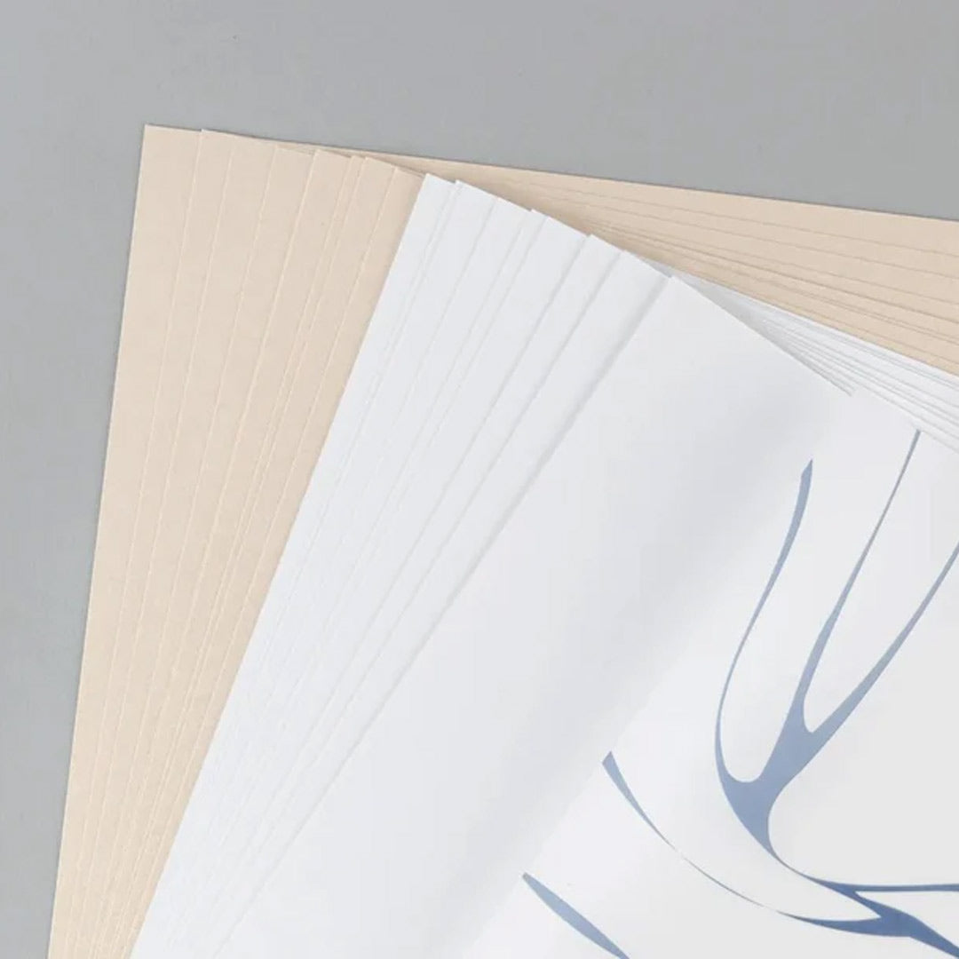 Numic Loose Sheets