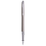 Parker Premium Aster Brushed Metal CT Fountain Pen