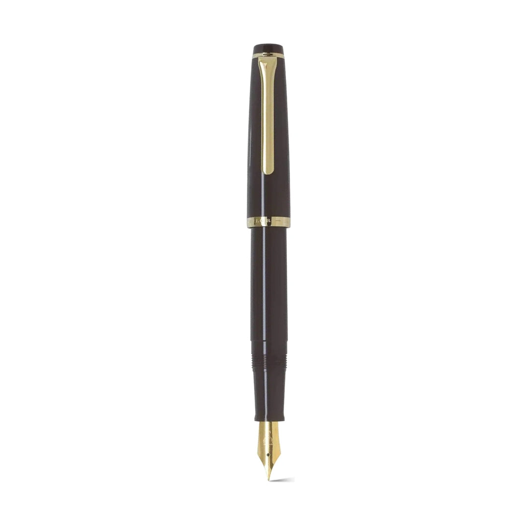 Sailor Lecoule Fountain Pen