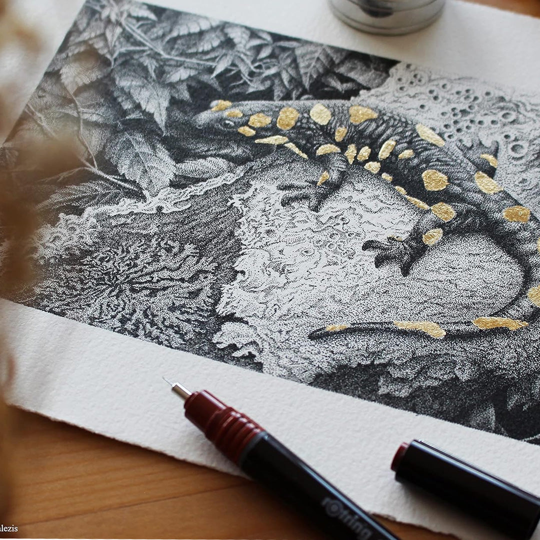 Rotring Isograph Technical Drawing Ink Pens