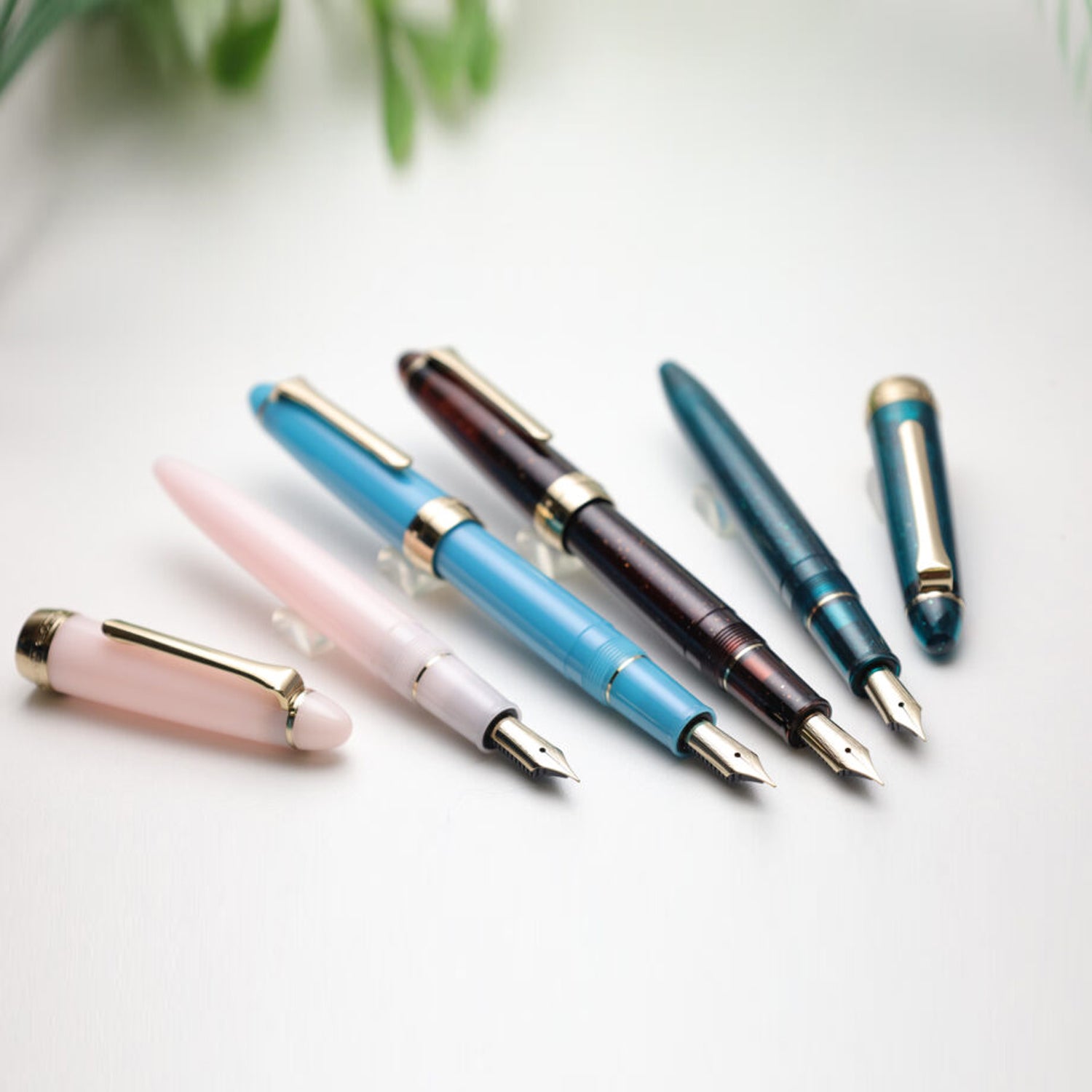 Sailor 1911 Casual Shikiori Kusa Asobi Hanakanmuri Fountain Pen (Special Edition)