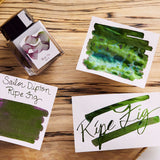 Sailor Dipton Ink Bottle - 20 ML) 13-1800-201