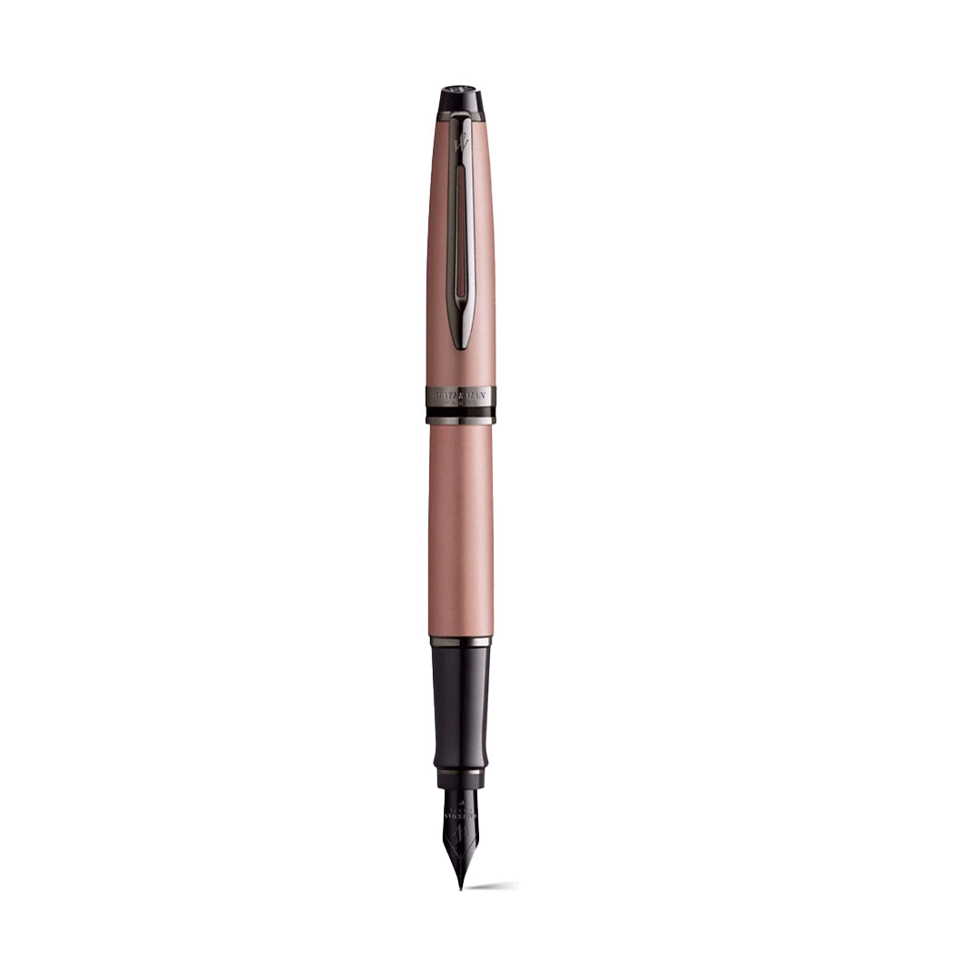 Waterman Expert RT Metallic Fountain Pen