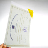 Solo A4 Secure Clear Holder