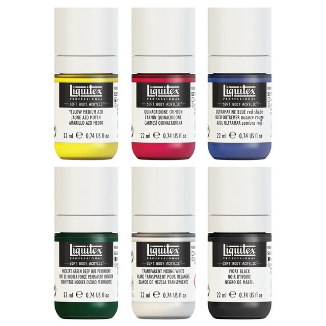 Liquitex Professional Soft Body Acrylic Set