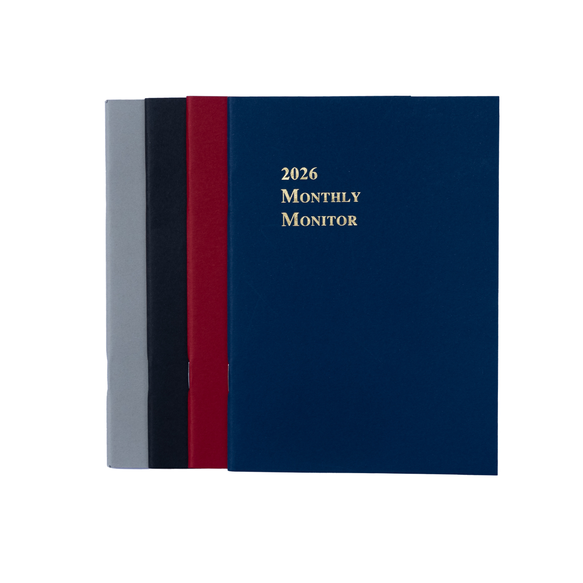 Anika Mini Monthly Monitor-2026