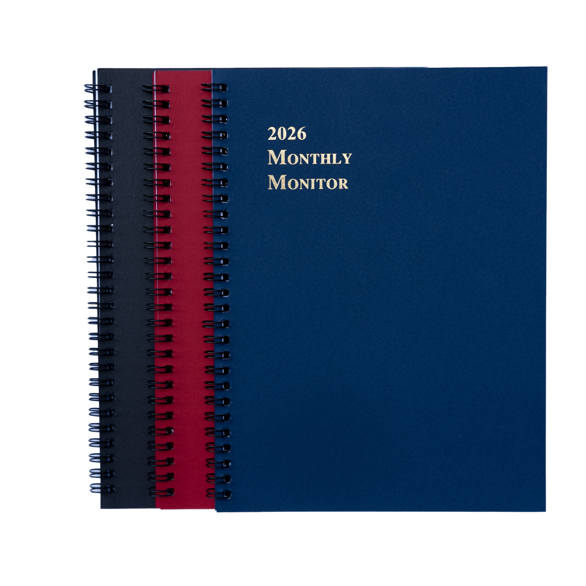 Anika Executive Monthly Monitor-2026