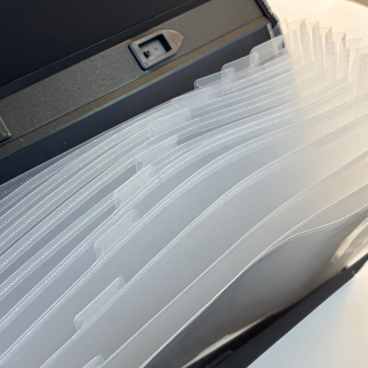 Trio F/C Expanding File