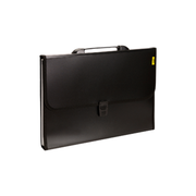 Trio F/C Expanding File