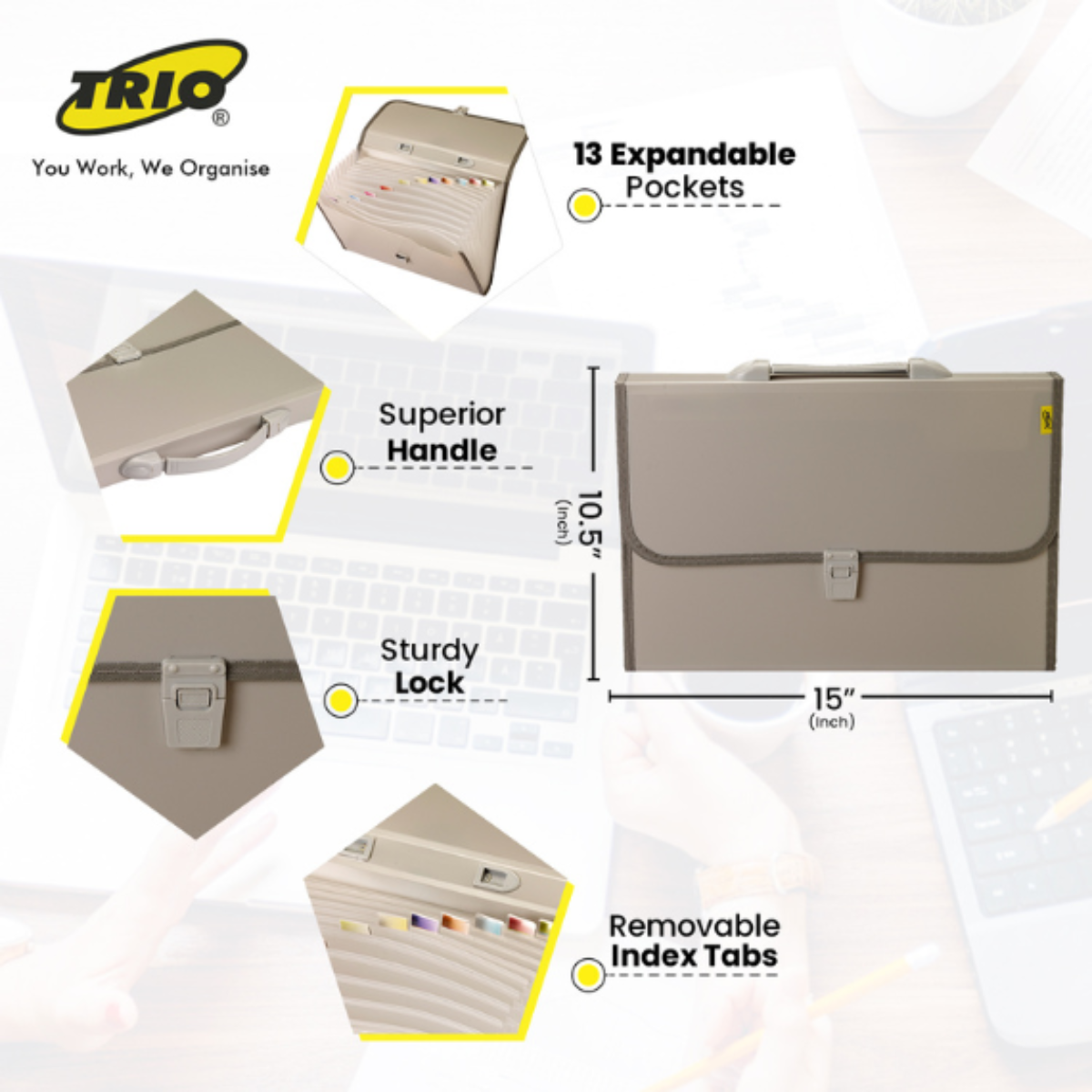 Trio F/C Expanding File