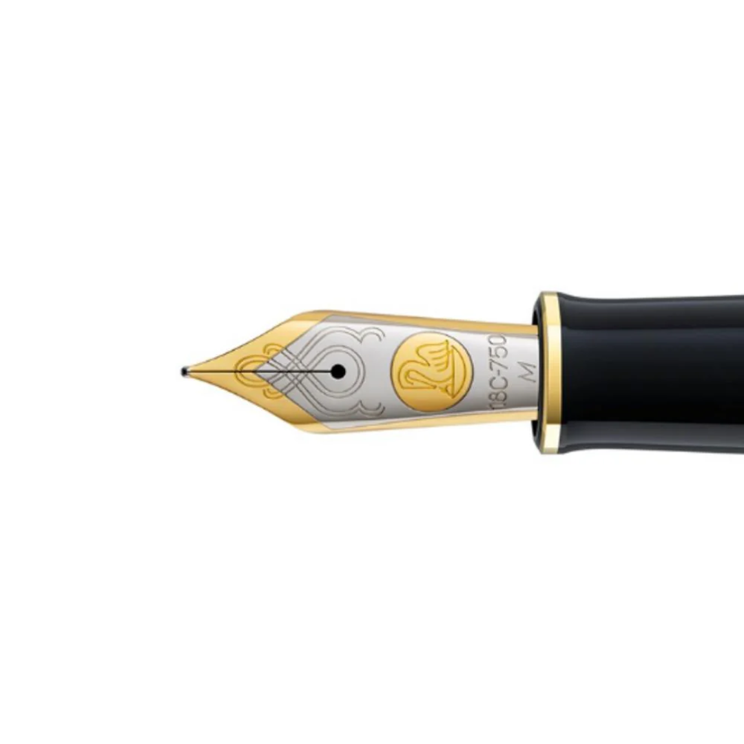 Pelikan M700 Nib Unit