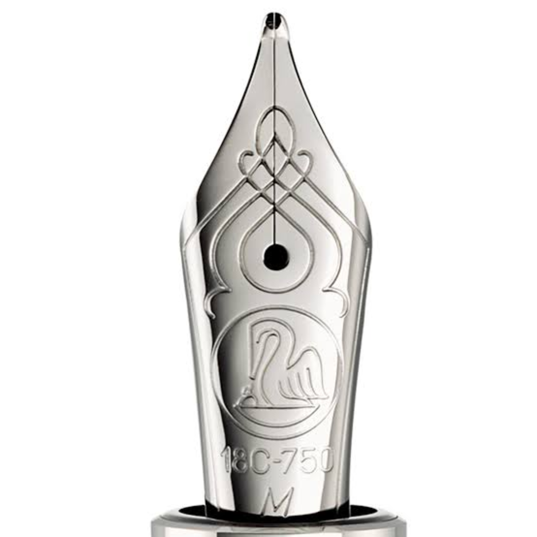 Pelikan M805/910 Nib Unit