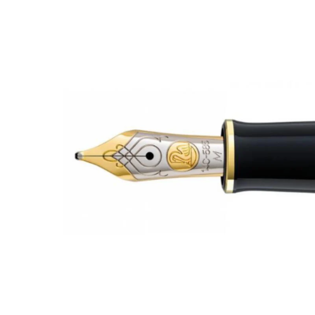 Pelikan M600 Nib Unit