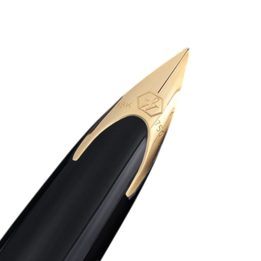Waterman Carene Reflections Of Paris Deluxe Black GT Fountain Pen