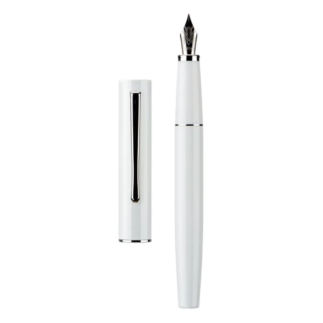 Hongdian Fountain Pen - C2
