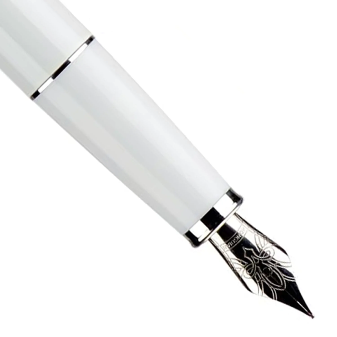 Hongdian Fountain Pen - C2
