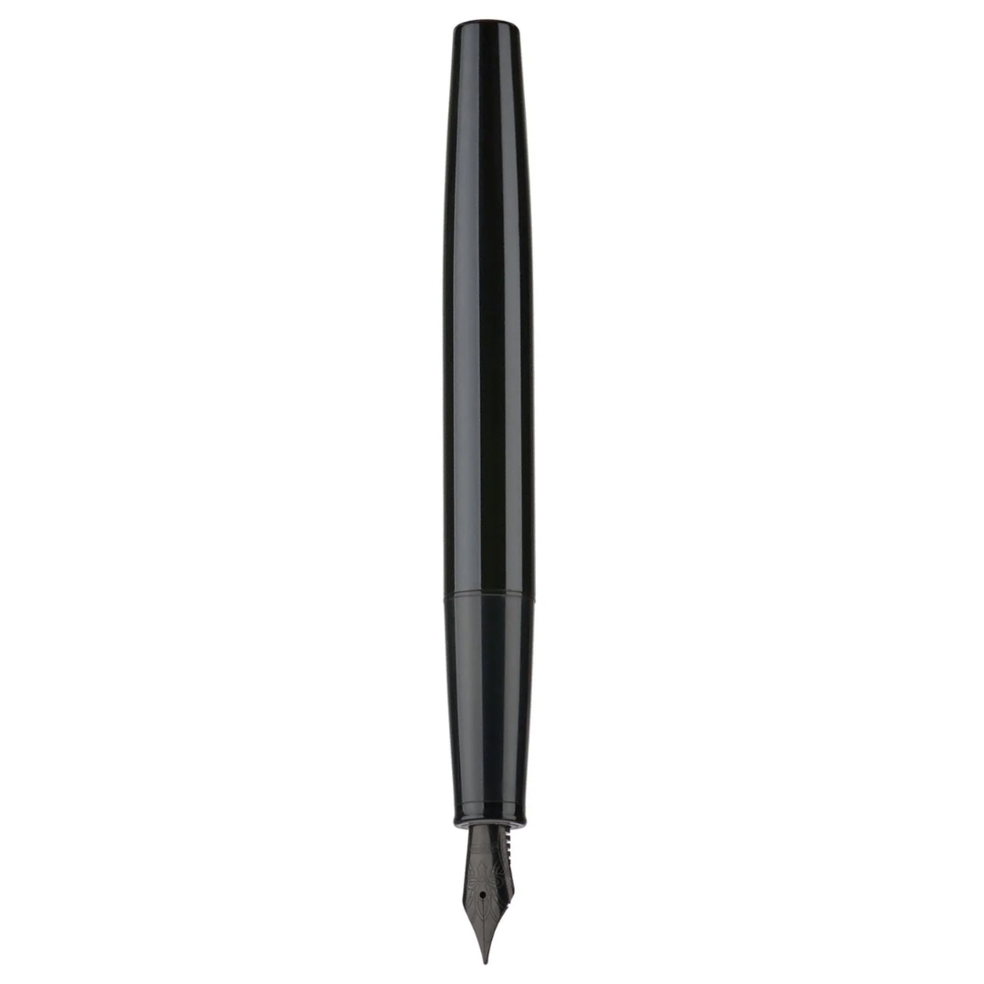 Hongdian Fountain Pen - C2