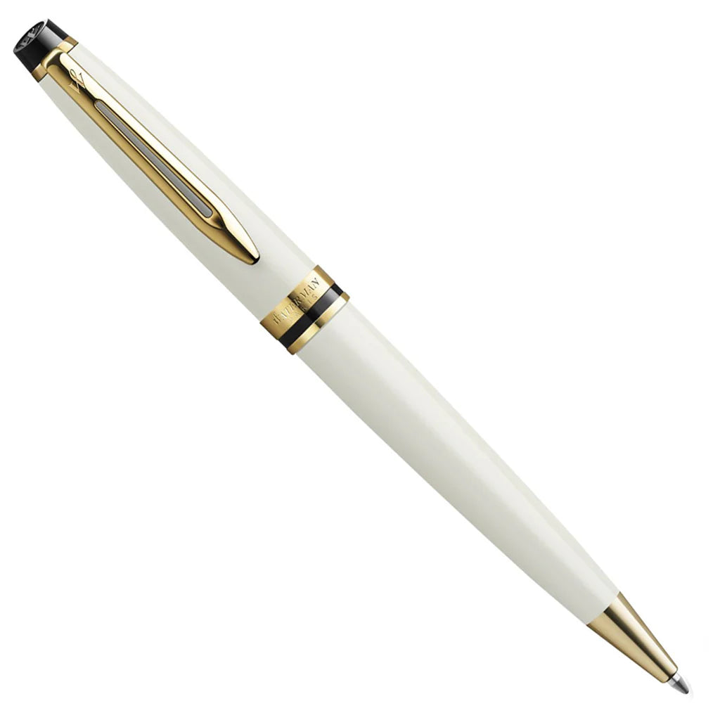 Waterman Expert Ballpoint Pen