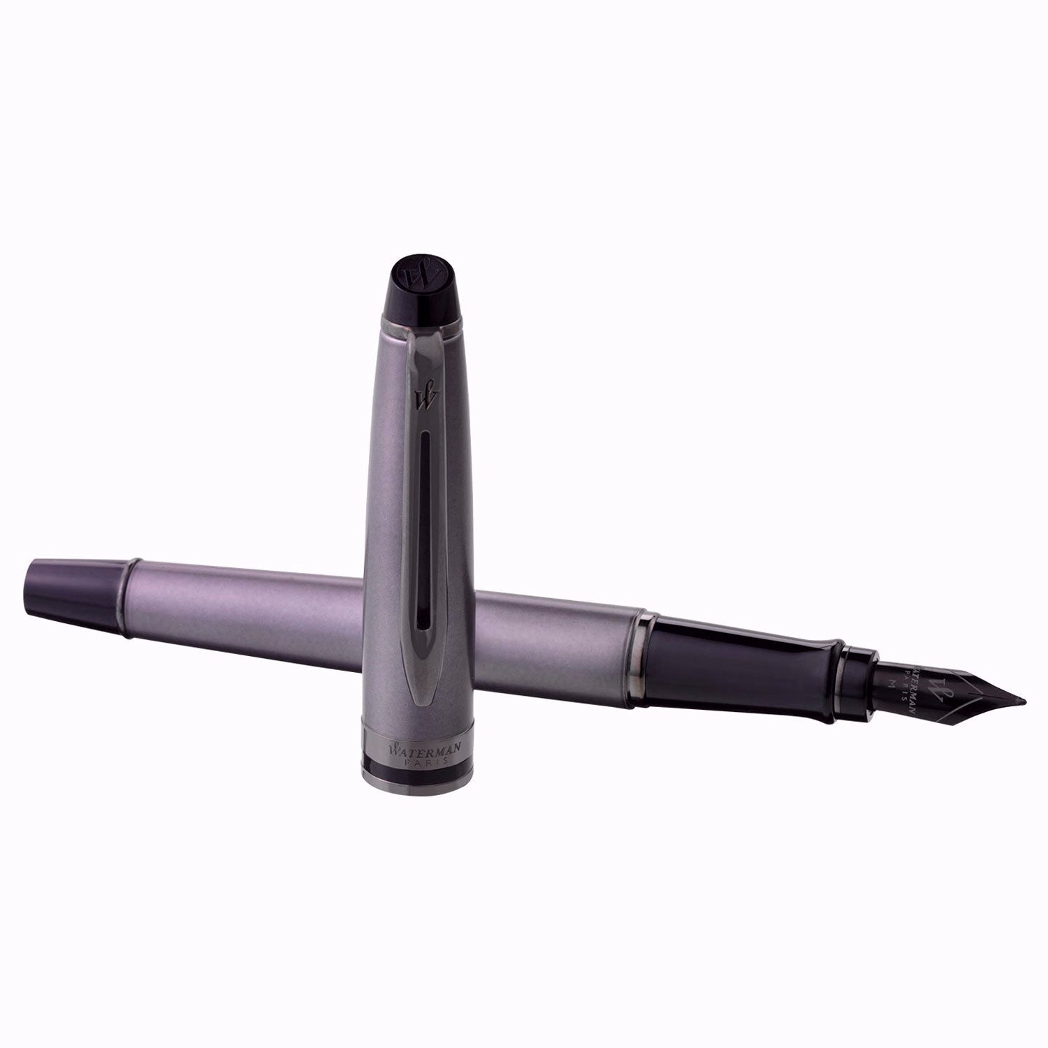 Waterman Expert Metallic Silver RT Fountain Pen