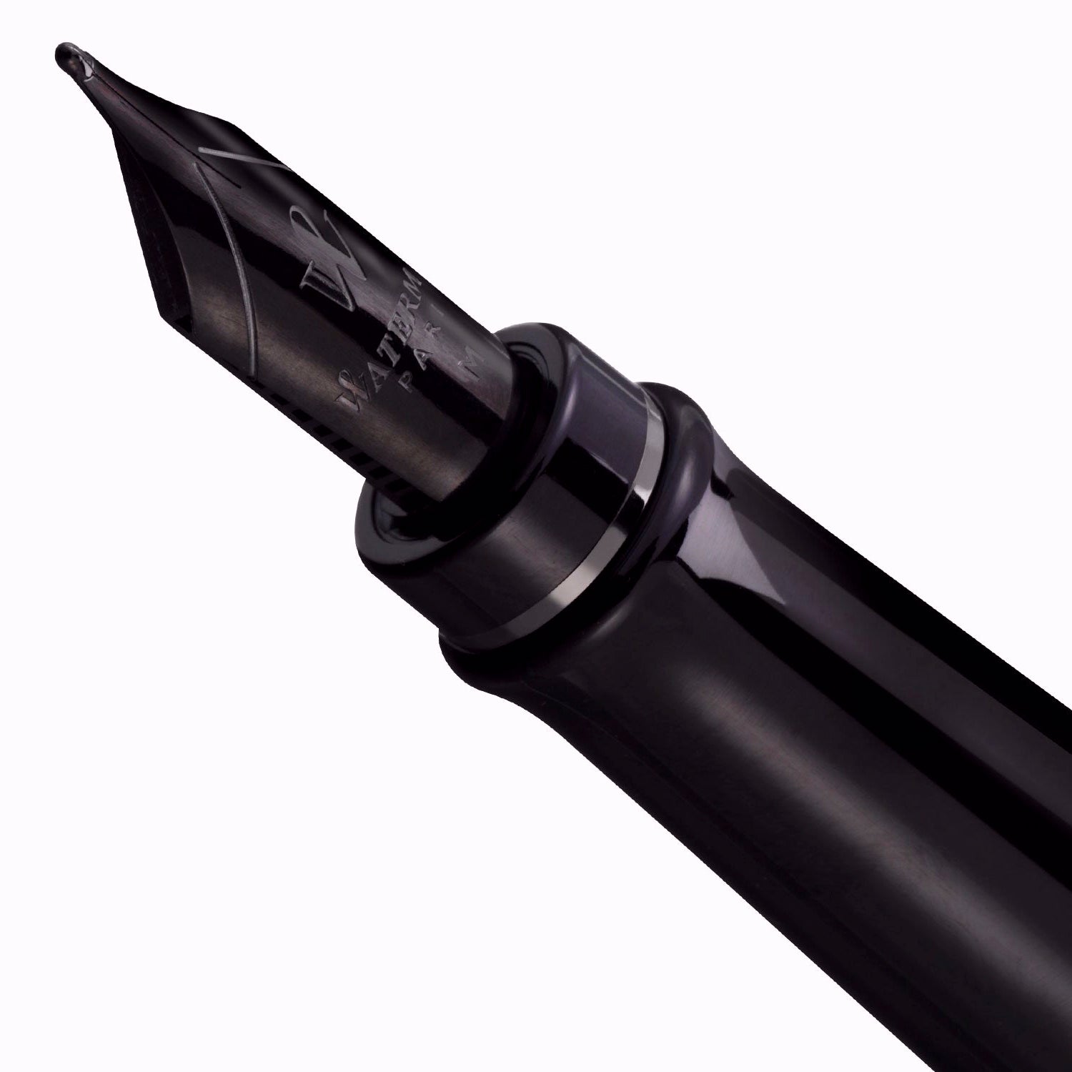 Waterman Expert Metallic Silver RT Fountain Pen